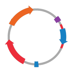 cell-free plasmids